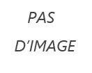 pare-brises