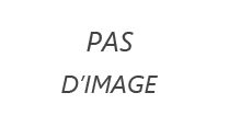 pare-brises